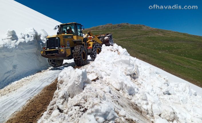 Büyükşehir yayla yollarında sorunlara neşter vuruyor