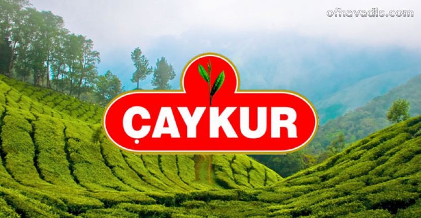 Çaykur 213 bin ton çay aldı