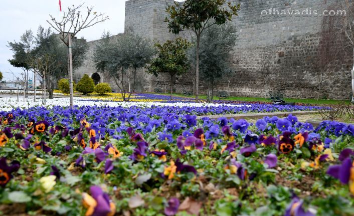 Büyükşehir Trabzon'u çiçeklerle süsledi